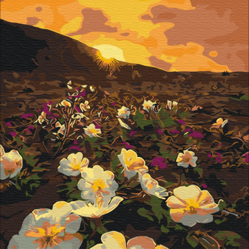 Flowers of the sun