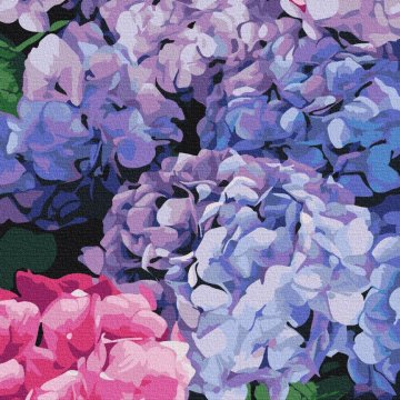 Bright hydrangea