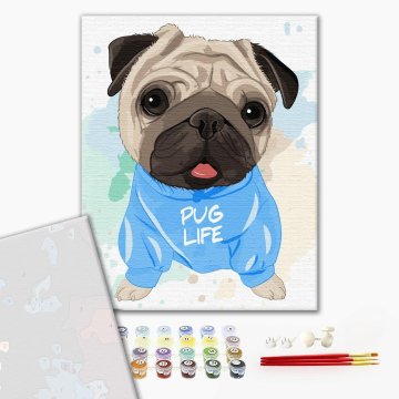 Bright pug