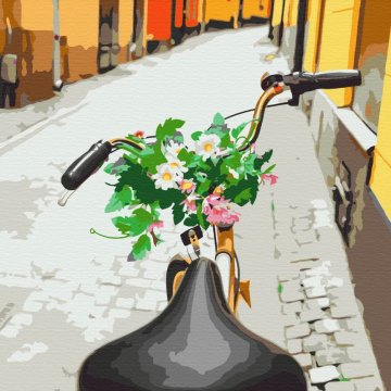 Cycling in the old town