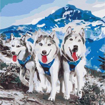 Husky friends