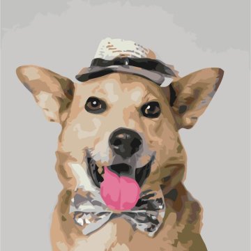 Mister dog