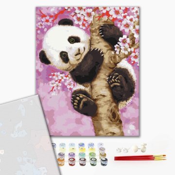 Panda on sakura