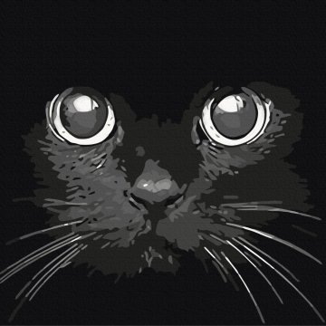 Night gaze