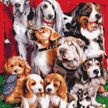 Pedigree company