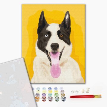 Bright dog