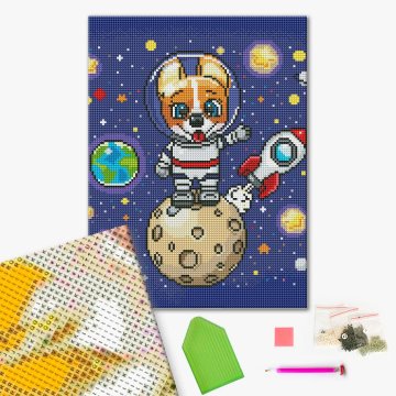 Corgi in space