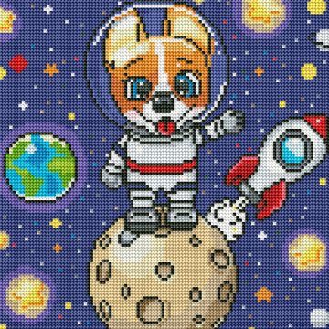 Corgi in space