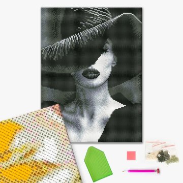 The Mysterious Lady