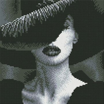 The Mysterious Lady