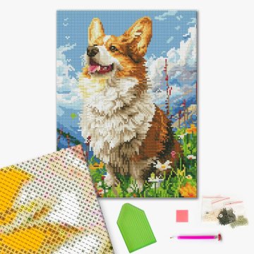 Sunny Corgi