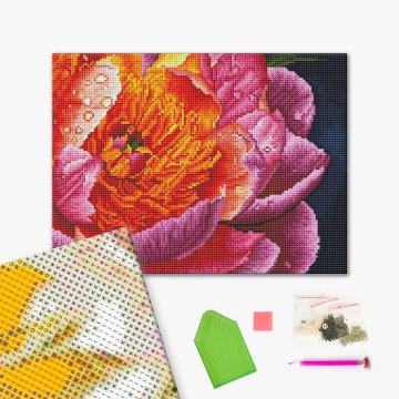 Colourful peony