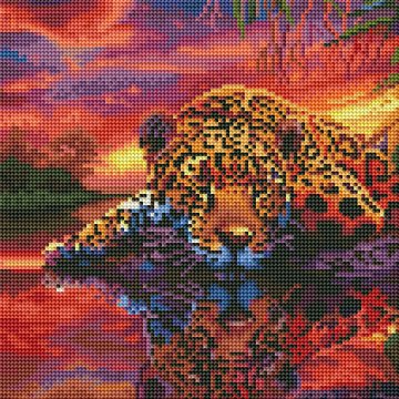 Leopard on a colourful background