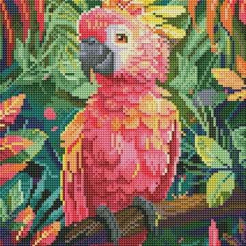 Pink parrot