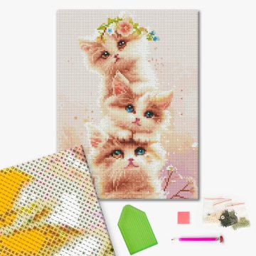 Three kittens