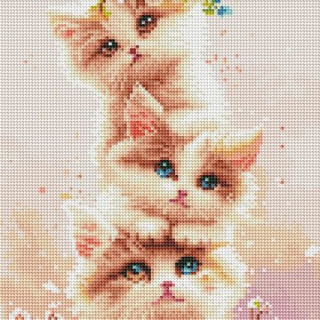 Three kittens