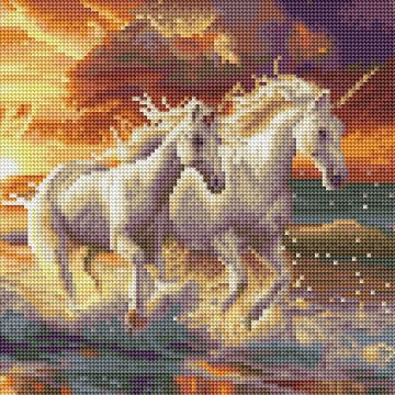 Unicorns on the coast