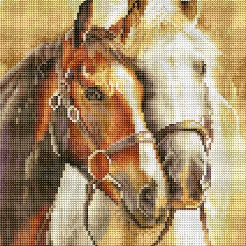 Noble horses
