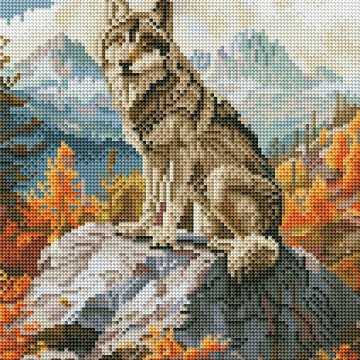 Mountain wolf