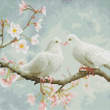 A pair of pigeons