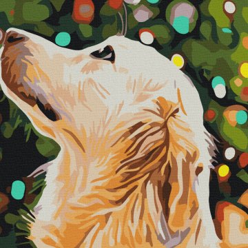 Waiting for a miracle