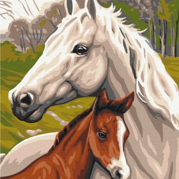 Horse family