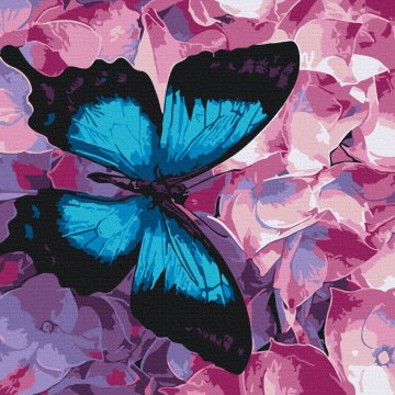 Butterfly on flowers