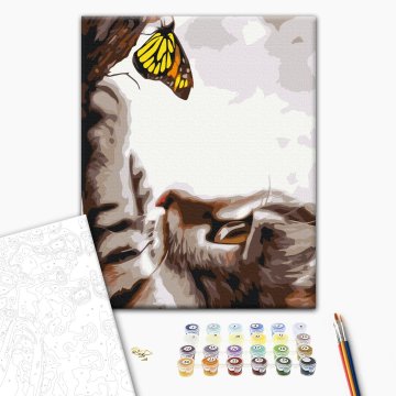 In search of a friend