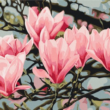 Fleur de magnolia © Anastasia Osmolovskaya