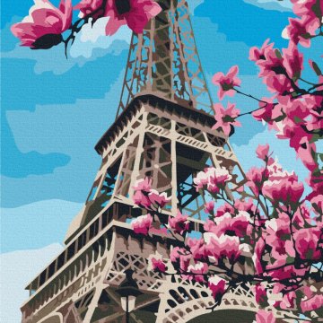 Magnolienblüte in Paris