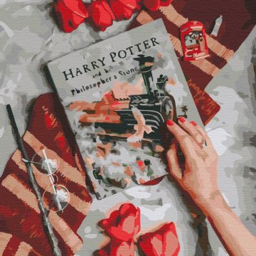 Discover the magical world of Harry