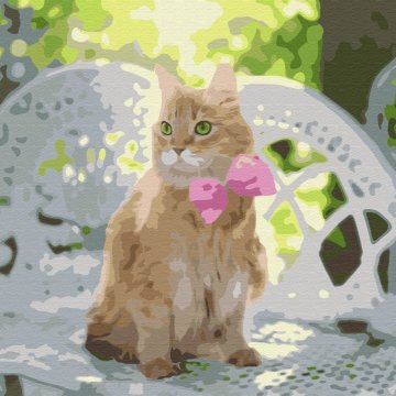 Ginger with a pink bow