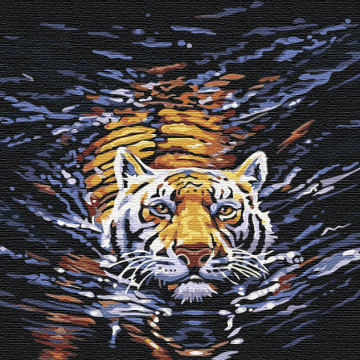 Tiger swimmer