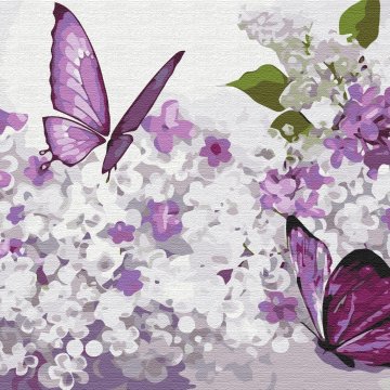 Purple butterflies