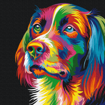 Rainbow dog