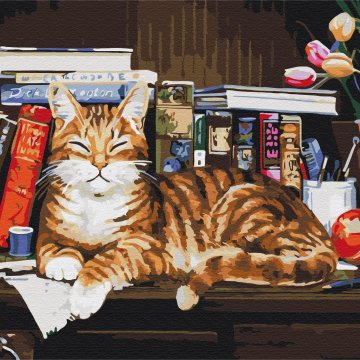 Pisica pe raftul de cărți
