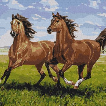 Horses on a run