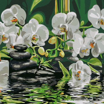 Calm near orchids