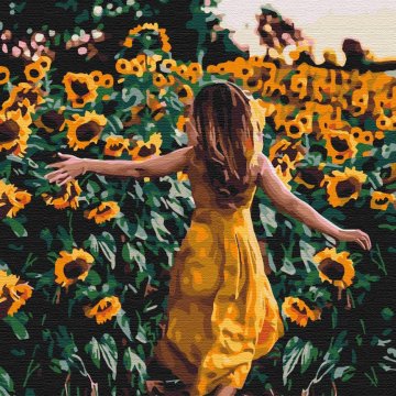 A walk in the sunflowers