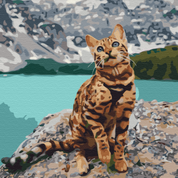Pet in the mountains