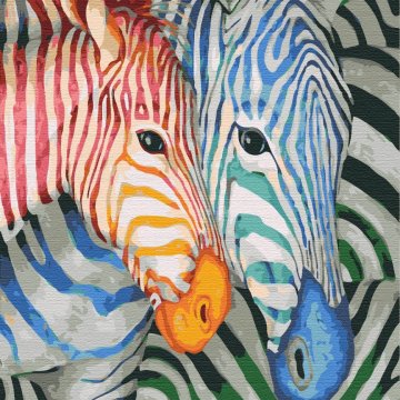 Striped zebras