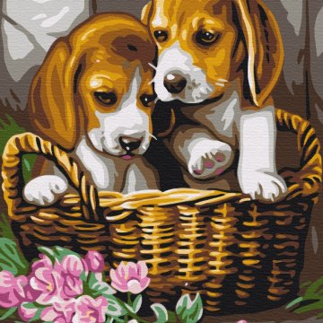 Couple in the basket