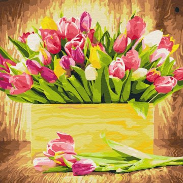 Slavnostní tulipány