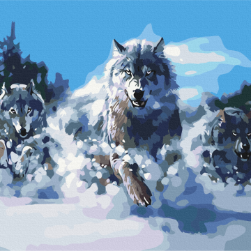 Wolves in motion