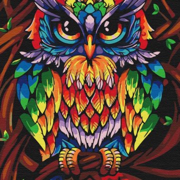 Rainbow wise owl