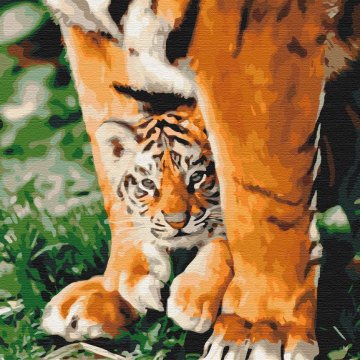 Tiger cub in mighty paws