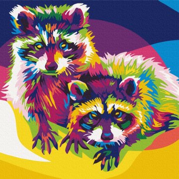 Rainbow raccoons