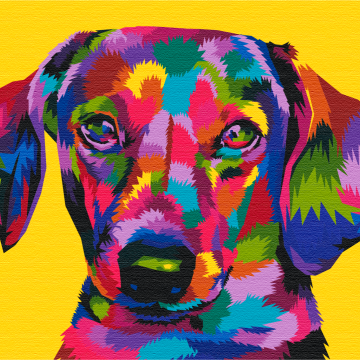 Rainbow dachshund