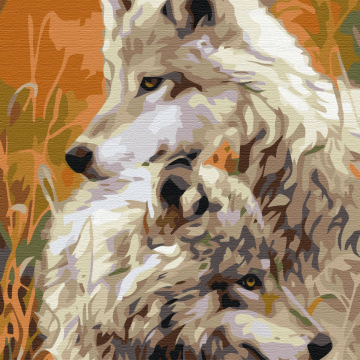 A pair of steppe wolves