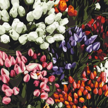 Targi tulipanów